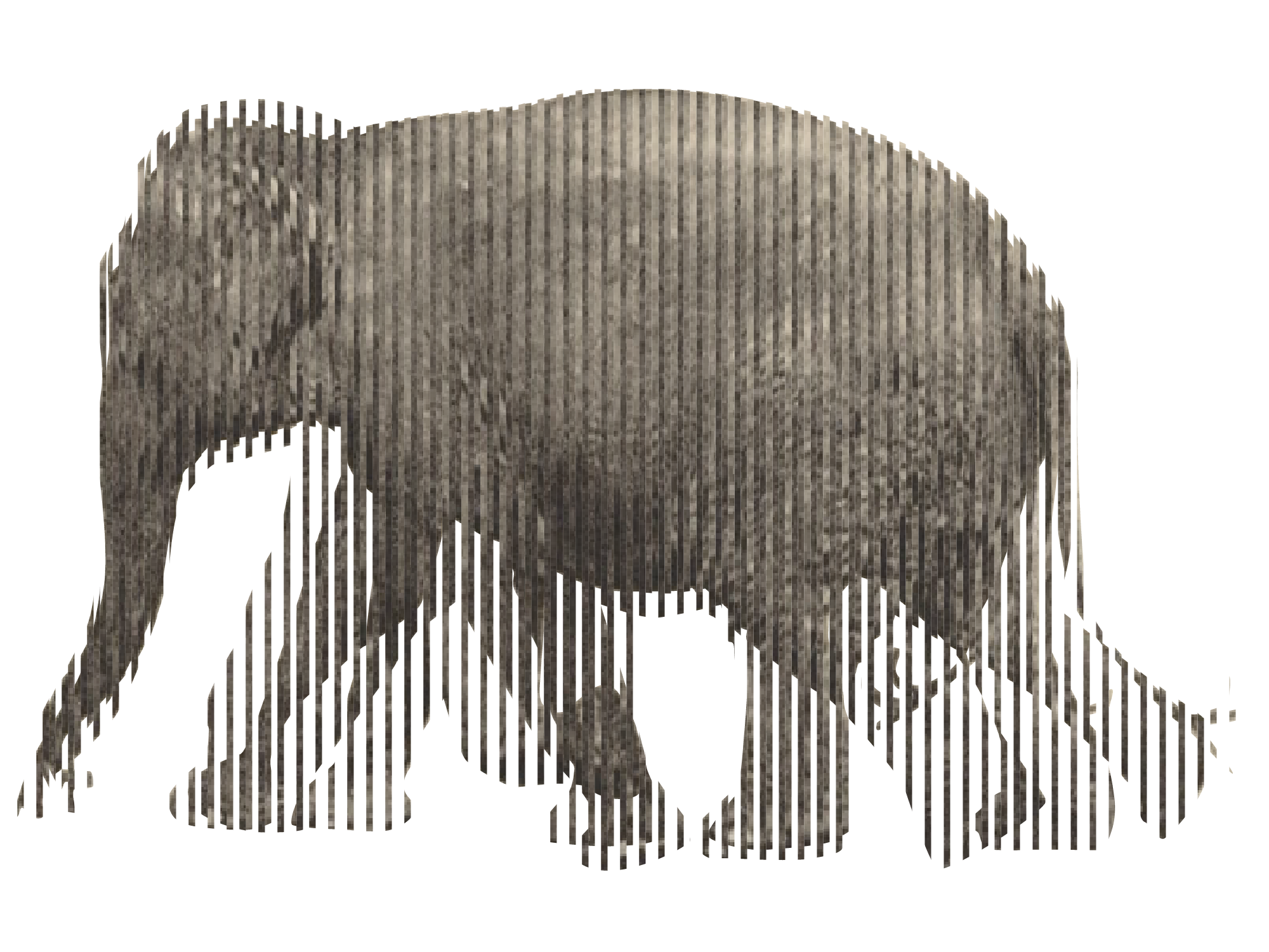 A series of vertical slats of different images of an elephant walking